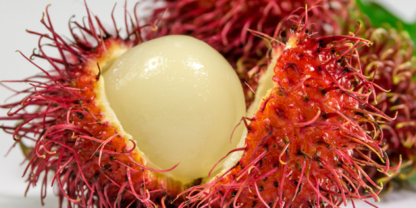 Rambutan: the latest Asian fruit star