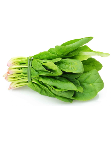 Fresh Spinach (1 Bunch)