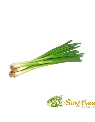 Spring Onions - 1 Batch