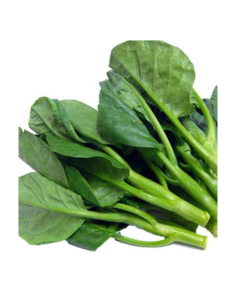Chinese Kai Lan - 5kg x 6