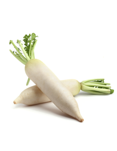 白萝卜 1kg -  - 新鮮 ZH