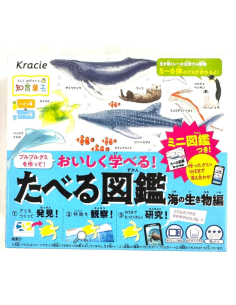 Kracie DIY Sealife Candy 13g