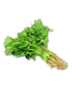 Fresh Coriander - 1 Bunch
