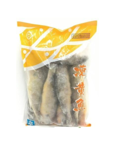 HS Yellow Croaker 500-700g