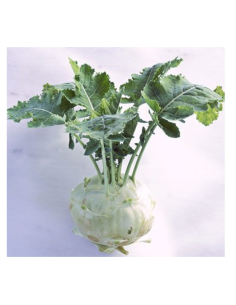 Fresh kohlrabi -  - 新鮮 ZH