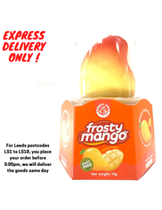 Frosty Mango Flavour Frozen Dessert 70g