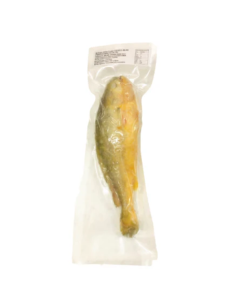 HS Yellow Croaker 500-700g