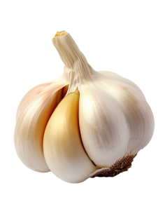 Garlic - 1 Piece