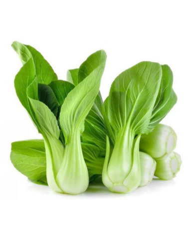 Green Pak Choi 500g