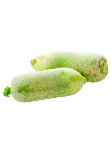 Green Oriental Radish 1kg