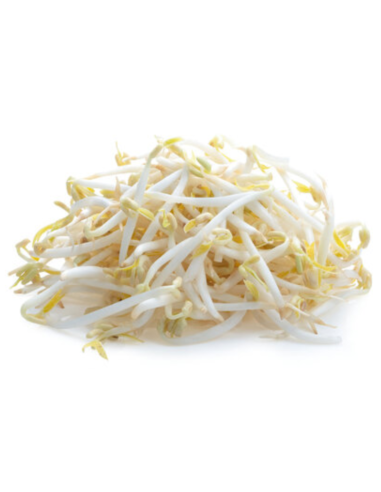 芽菜 400g -  - 新鮮 ZH