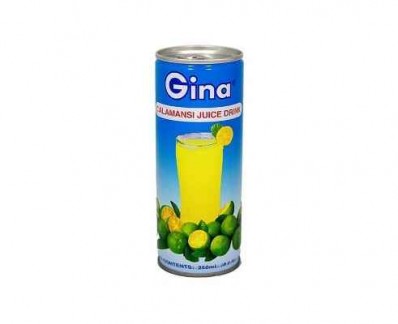 Gina Calamansi Juice Drink 250 ml