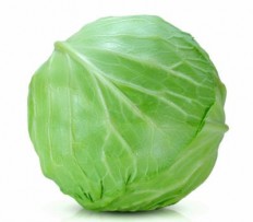 Chinese Cabbage