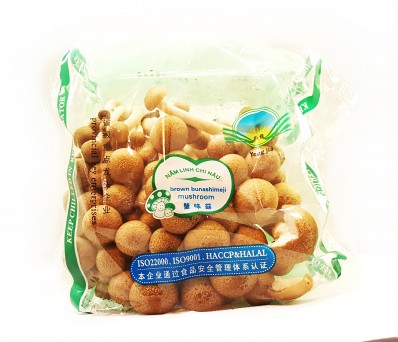 YONG JIA Brown Bunashimeji Mushroom - 1 pack