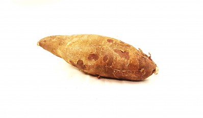 蕃薯  Sweet Potato - 1 件
