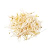 Bean Sprouts 260g