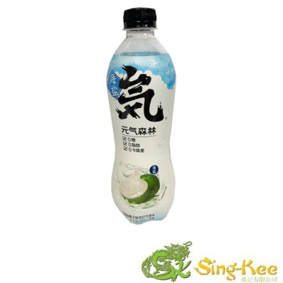 GKF Sparkling Water - Coconut Flavour 480ml